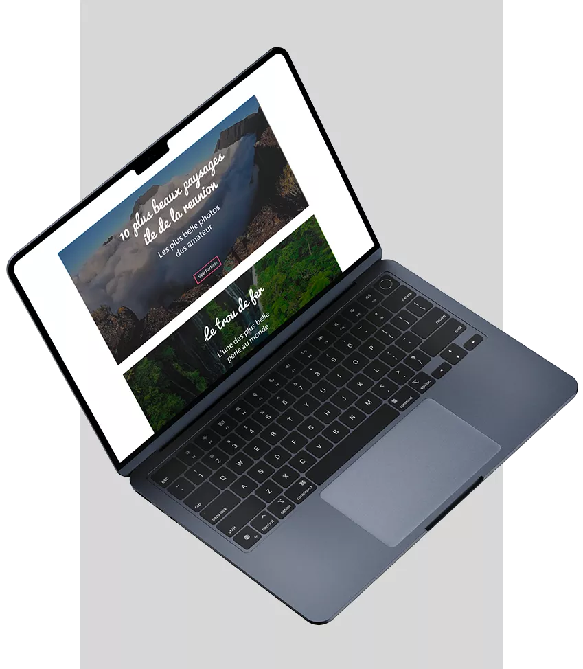 solution web à la réunion